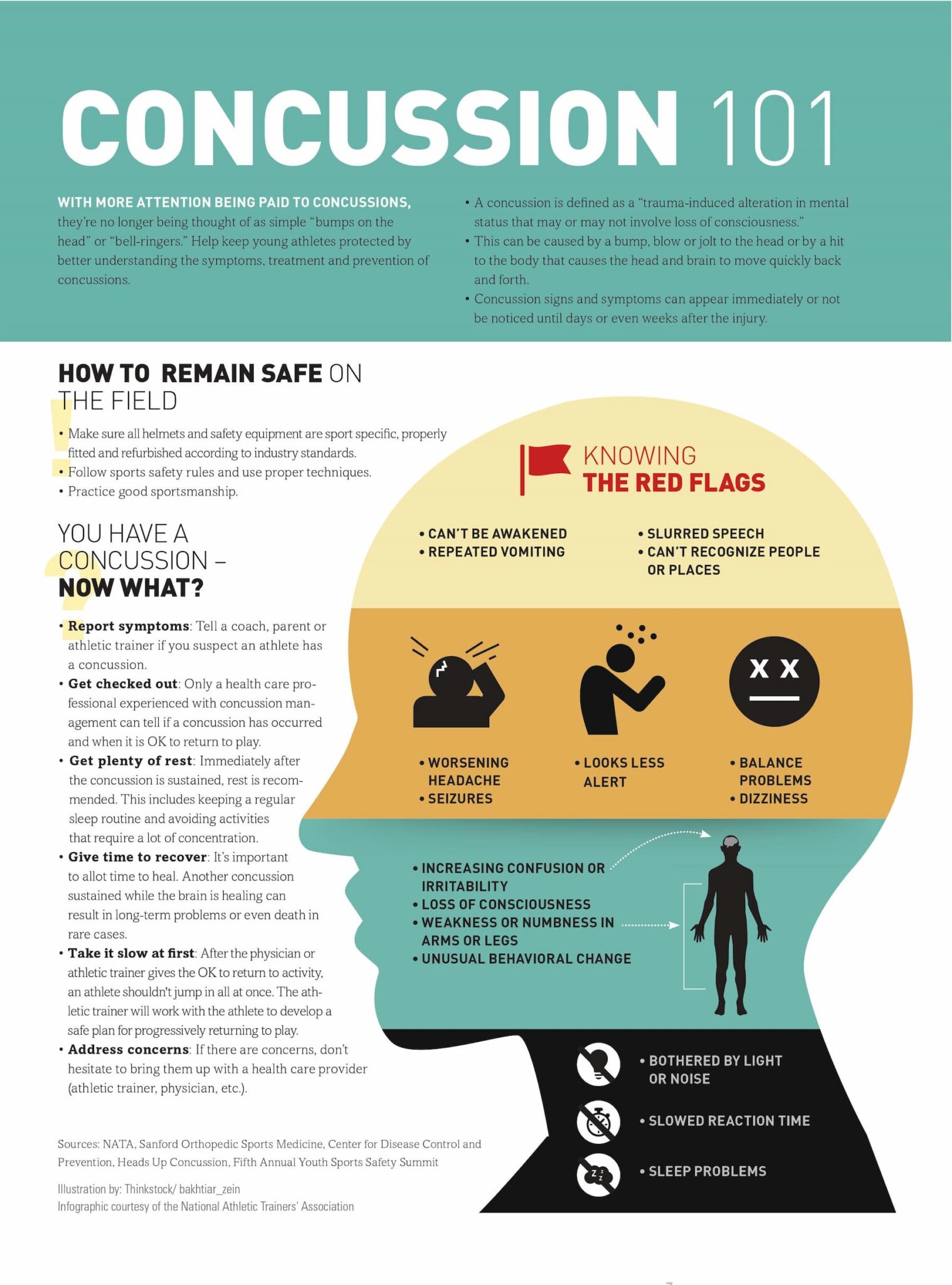 Concussion Safety Cambridge Feeder Football